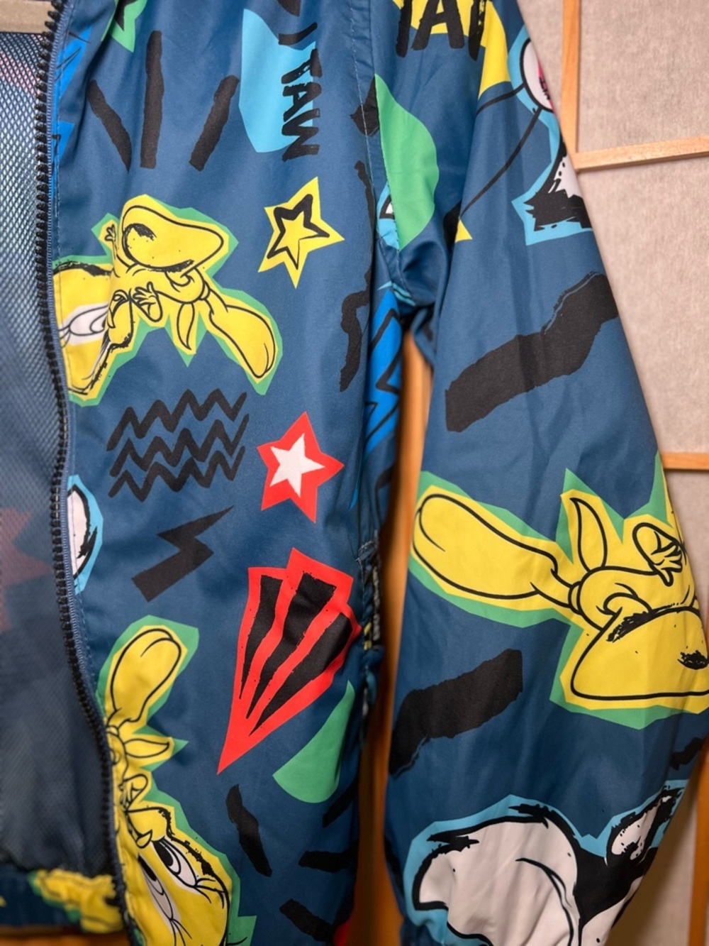 Looney Tunes Members Only Hooded Windbreaker Jacket Kids Size5 Colorful Graphic - Picture 4 of 15
